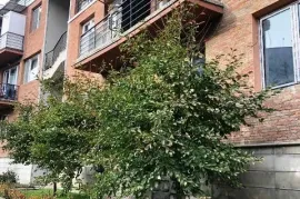 2 yatak odalı daire, Ceviz Sokağı