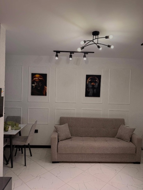 1 yatak odalı daire, Su Yolu Sokağı