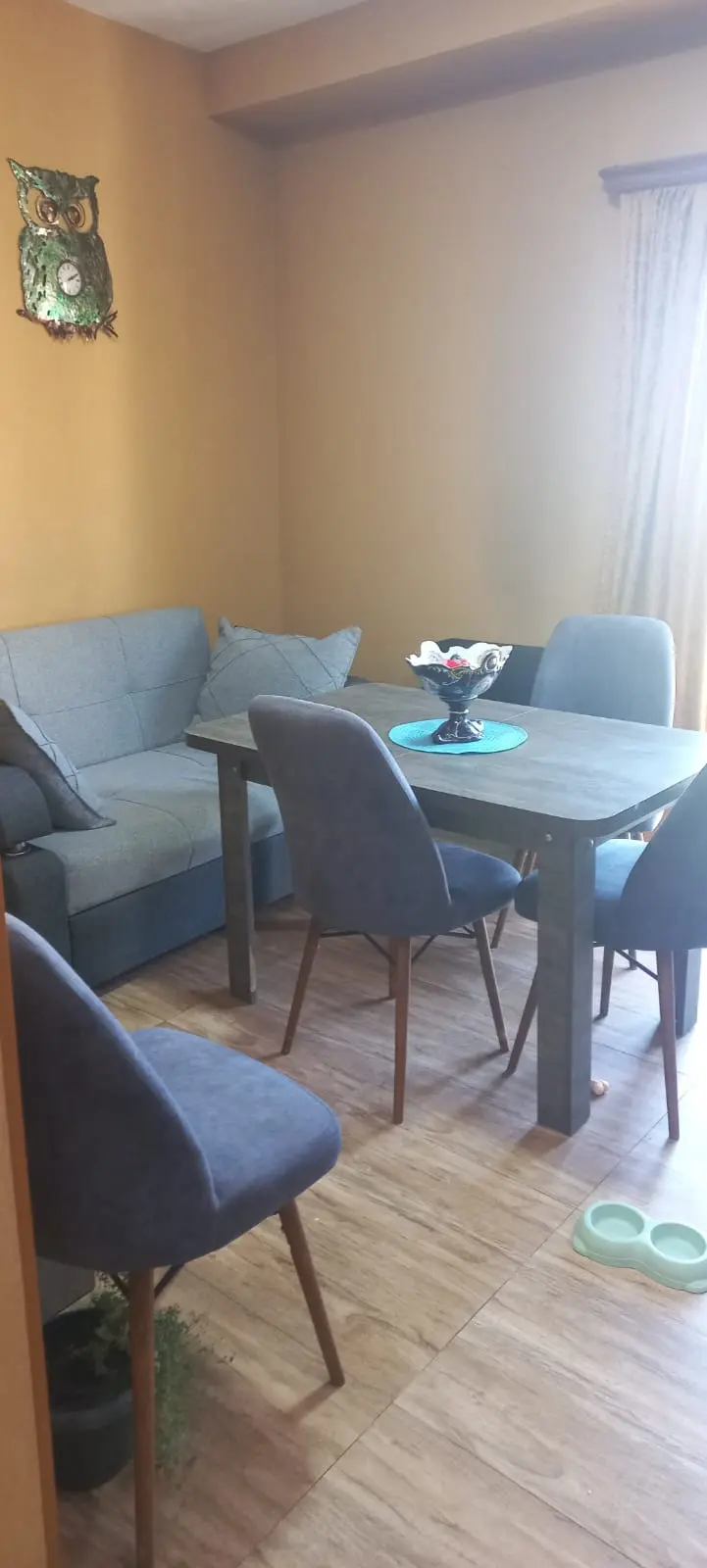 1 yatak odalı daire, Trialeti Sokağı
