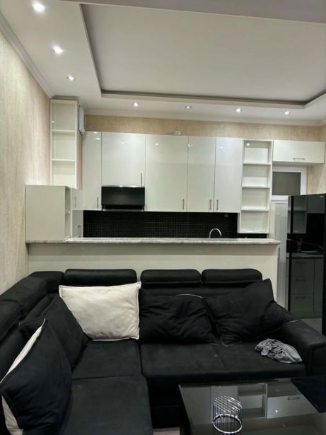 2 yatak odalı daire, İlia Vekua Sokağı