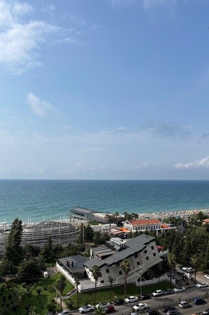 1-ოთახიანი ბინა, შერიფ ხიმშიაშვილის ქ.